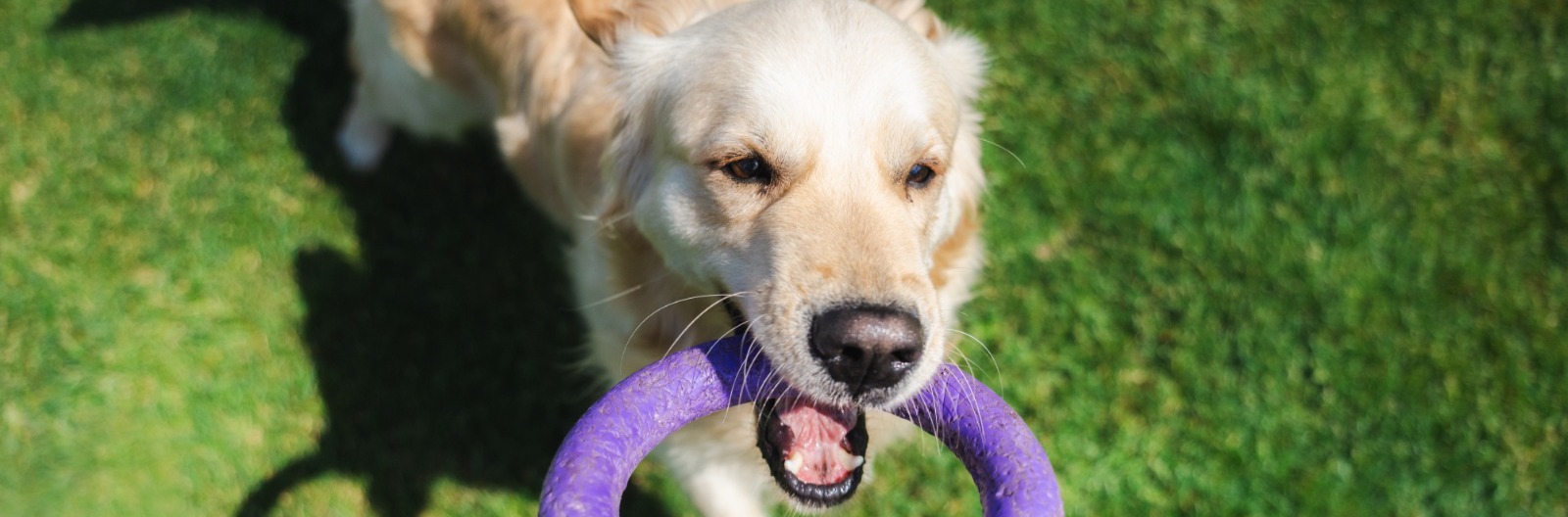 Ten Easy Ways to Increase Workplace Productivity