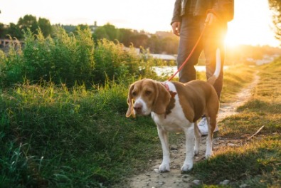 Ria's Sanctuary, Crystal therapy