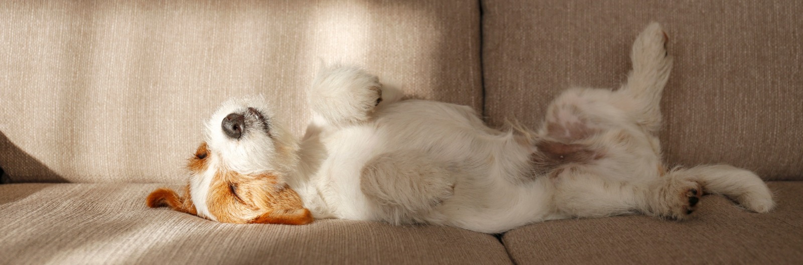 Ten Easy Ways to Increase Workplace Productivity