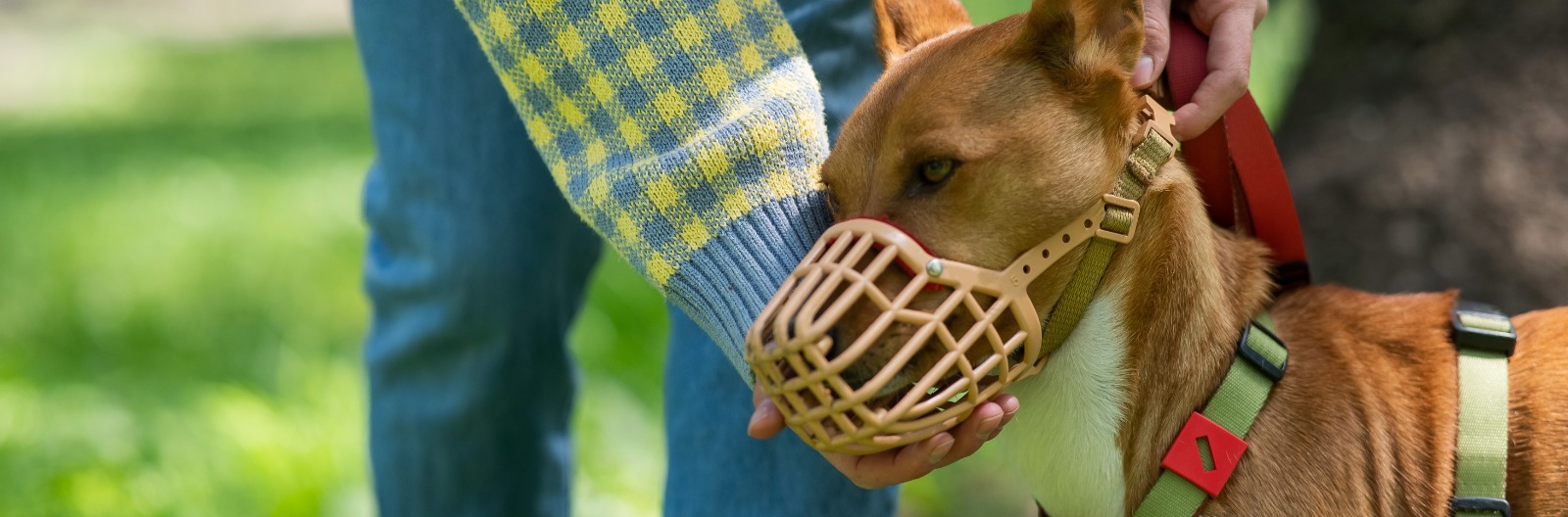 Ten Easy Ways to Increase Workplace Productivity