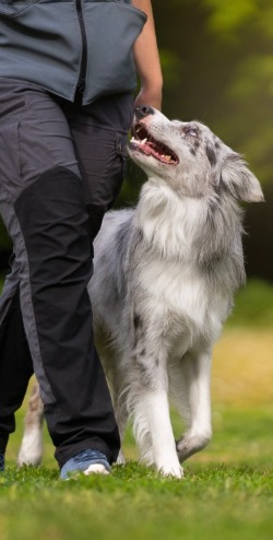 Combining, therapies